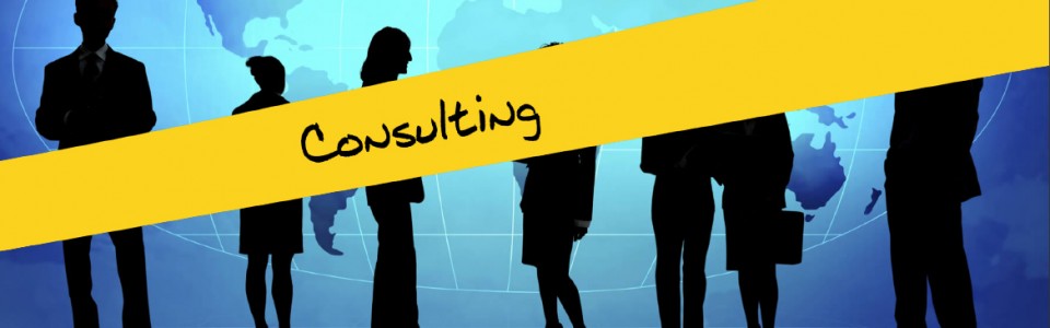 Consulting