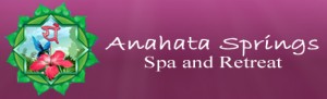 anahatalogoport